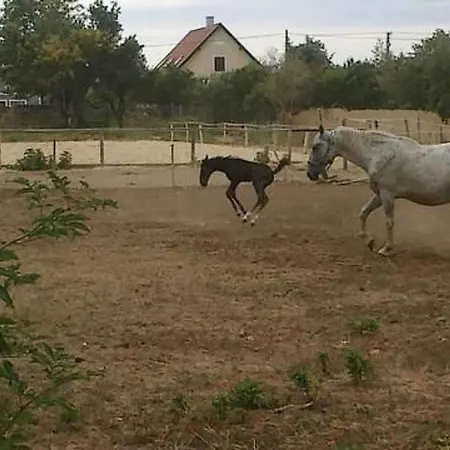 Σπίτι διακοπών Hetkanyar Vendeghaz By Interhome *