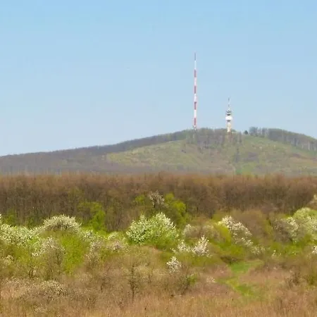 Hetkanyar Vendeghaz By Interhome * Nagyvázsony