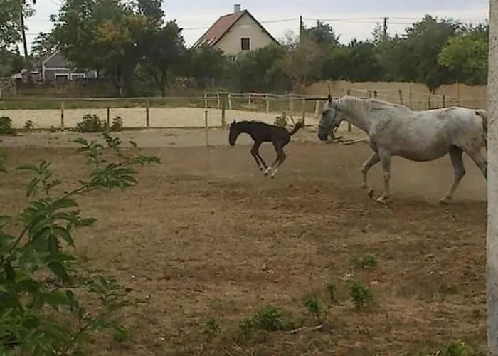 Ferienhaus Hetkanyar Vendeghaz By Interhome *