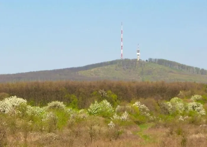 Hetkanyar Vendeghaz By Interhome * Nagyvázsony