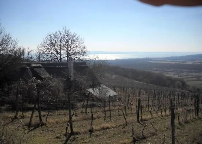 Ferienhaus Hetkanyar Vendeghaz By Interhome Nagyvázsony