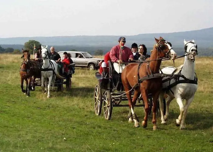 Ferienhaus Hetkanyar Vendeghaz By Interhome *